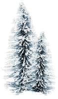 winter trees - gratis png