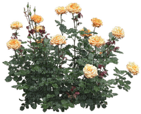 Plate-bande de fleurs - gratis png