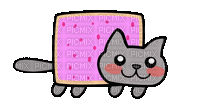 nyan cat - GIF animé gratuit