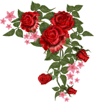 MMarcia tube rosas flores - Free PNG