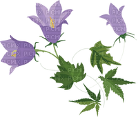 More flowers - ilmainen png