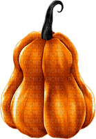 Pumpkin.Orange.Black - PNG gratuit
