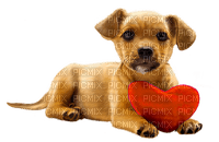 valentine dog  by nataliplus - ilmainen png