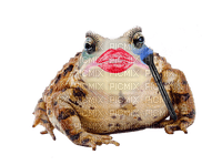 toad frog makeup - png gratis