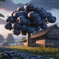 Blueberry Tree Farm - фрее пнг