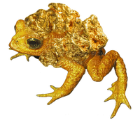 gold nugget froggy - gratis png