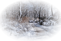 Winter Backgrounds - darmowe png