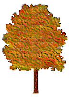 Arbol de otoño - 免费动画 GIF