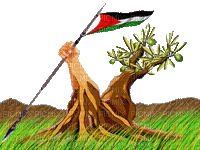 palestine - Бесплатный анимированный гифка