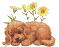 Puppy and Kitten with Flowers - GIF animé gratuit