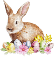 soave deco easter eggs flowers bunny pink - Free PNG