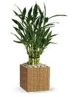 Kaz_Creations  Flowers Vase Plant - Free PNG