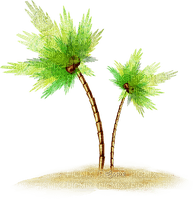 soave deco summer tropical beach  palm green brown - png gratis