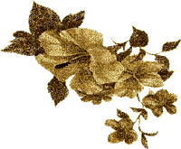 Fleur dorée.Cheyenne63 - Ücretsiz animasyonlu GIF
