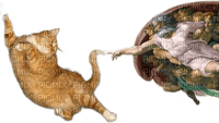 animalss cats nancysaey - nemokama png