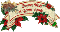 Joyeux Noel et Bonne Annee - Animovaný GIF zadarmo