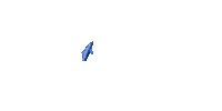 dolphins bp - Bezmaksas animēts GIF
