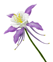 Flor color lila - nemokama png