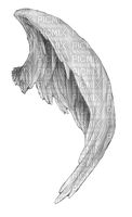 wings katrin - Free PNG