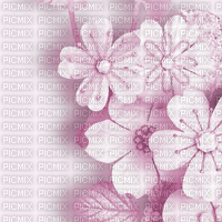 Fond rose background pink bg flower fleur fleurs - zadarmo png