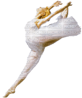 ballerine - GIF animado grátis
