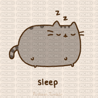 Pusheen sleep laurachan - 免费动画 GIF