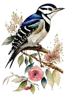 loly33 oiseaux fleur - besplatni png