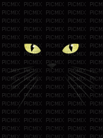 Black Cat - Free animated GIF