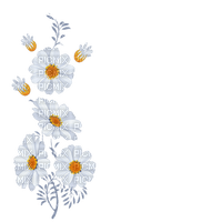 Vanessa Valo _crea=white flowers deco - ilmainen png