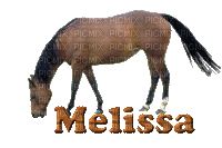 Kaz_Creations Names Melissa Animated - Nemokamas animacinis gif