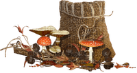 autumn garden forest mushroom - darmowe png