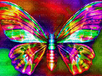 butterfly papillon effect fond background hintergrund image colorful colored gif anime animated animation - GIF animé gratuit