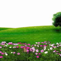 déco nature/clody - 免费PNG