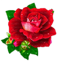 Y.A.M._Vintage roses flowers - 無料png