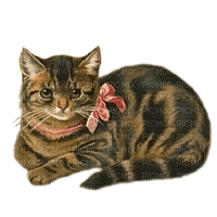 gato vintage dubravka4 - kostenlos png