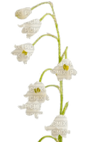 Fleur blanche.Muguet.Flower.Victoriabea - besplatni png