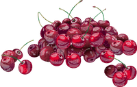 cherries Bb2 - darmowe png