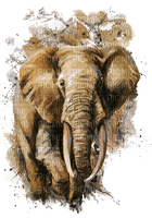 Elefant - Free PNG