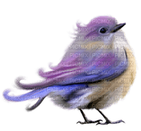 fågel-bird - PNG gratuit