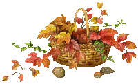 minou-basket leaves - 無料のアニメーション GIF