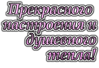 Y.A.M._Wishes, aphorisms, quotes - png gratis
