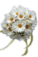 Rena Margeritenstrauß Blumen Flowers - δωρεάν png