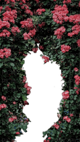 arche de roses - PNG gratuit