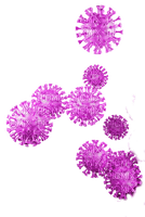 decoration / corona-virus - ücretsiz png