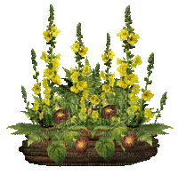 Arreglo floral - GIF animado grátis