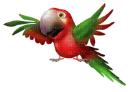 Un pájaro  lapa - PNG gratuit