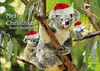 Christmas in Australia bp - Nemokamas animacinis gif