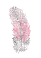 feathers bp - png ฟรี