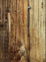 Wood.Bois.wall.Victoriabea