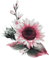 soave deco flowers sunflowers branch pink green - bezmaksas png